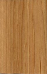 Palamino Hickory